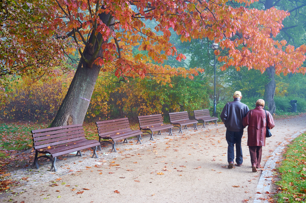 Senior couple walking  in the park